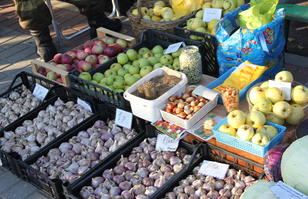 В Минске в эти выходные стартуют осенние ярмарки. Рассказываем, где купить овощи на зиму