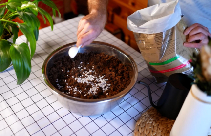 Как помочь комнатным цветам пережить зиму? Советы народного садовника Дмитрия Кастрицкого