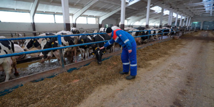 Сколько можно заработать сельским трудом и как меняется качество жизни в регионах. Репортаж ОНТ