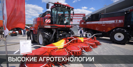 Выставка «Белагро»: какие достижения в промышленности и сельском хозяйстве можно увидеть