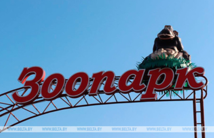 1 октября пенсионеры смогут бесплатно посетить Минский зоопарк