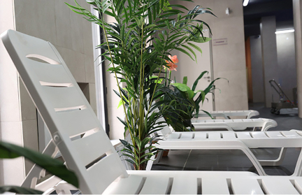 Горячий турсезон в Беларуси: сколько стоит отдых в санатории и почему мест на лето нет