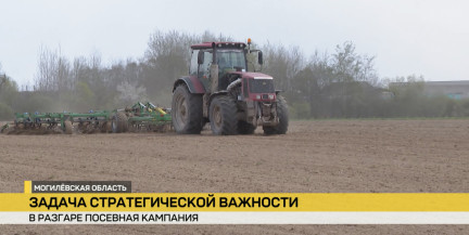 Аграрии преодолели экватор ярового сева: обстановка в полях