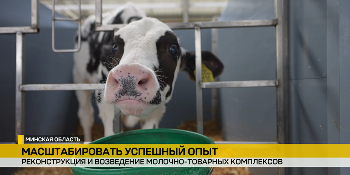 В Беларуси расширяют сеть молочно-товарных комплексов и готовят новые инвестпроекты. Репортаж ОНТ