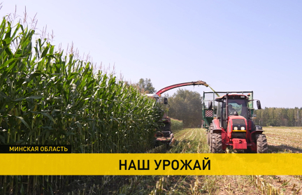 Белорусские аграрии приступили к заготовке кормов