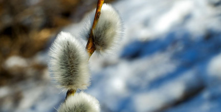 Жизнь не будет прежней: что изменится в Беларуси с 1 марта 2026 года