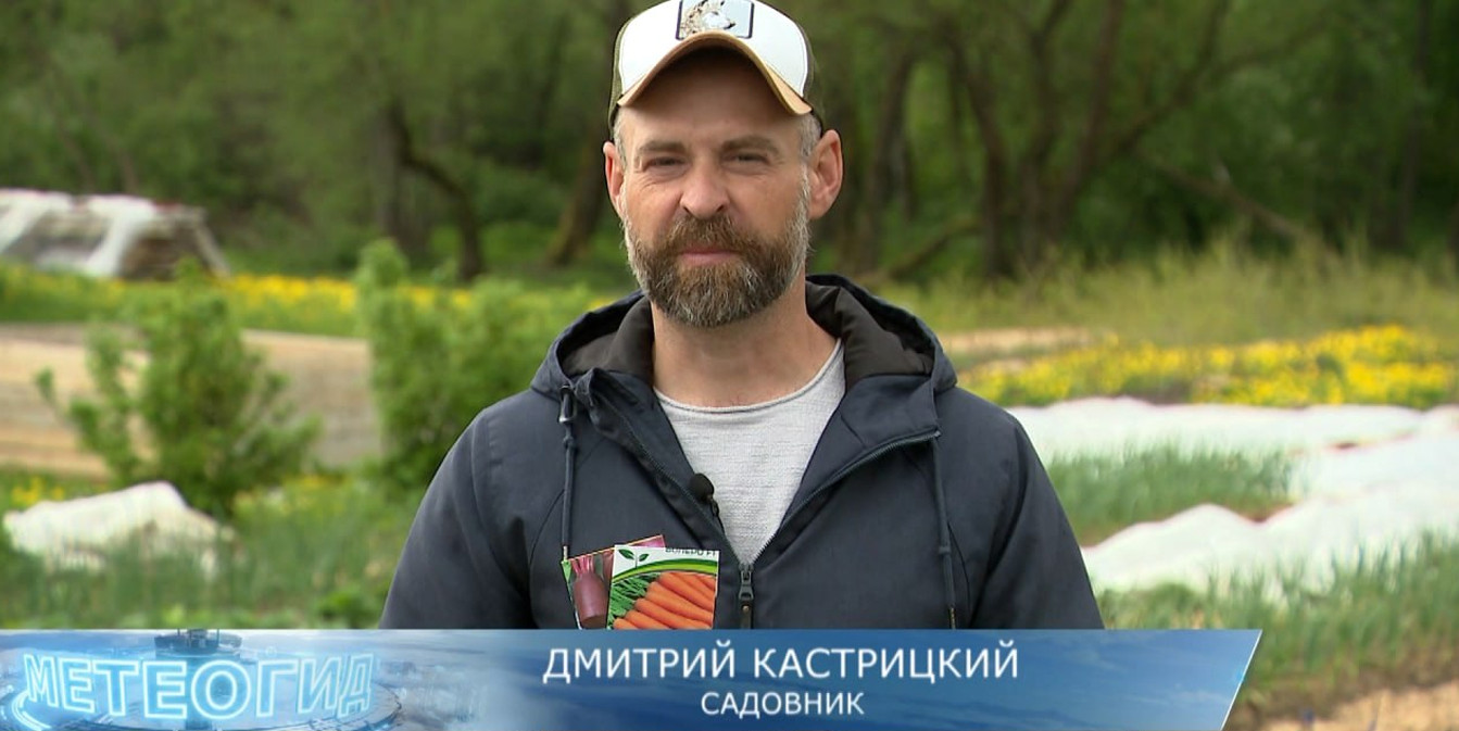 Дмитрий Кастрицкий рассказывает, когда сеять морковь со свеклой, чтобы собрать богатый урожай