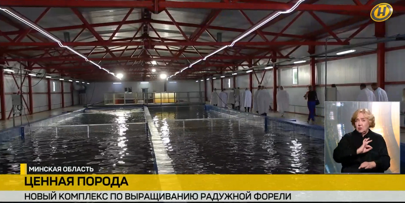 комплекс по выращиванию форели в Столбцовском районе