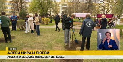 «Аллея мира и любви». «Белорусский союз женщин» проводит акцию, в рамках которой высадили 5 тысяч яблонь и груш