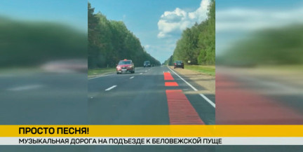 Первая музыкальная дорога Беларуси: подъезжая к Беловежской пуще, можно услышать хит «Песняров»
