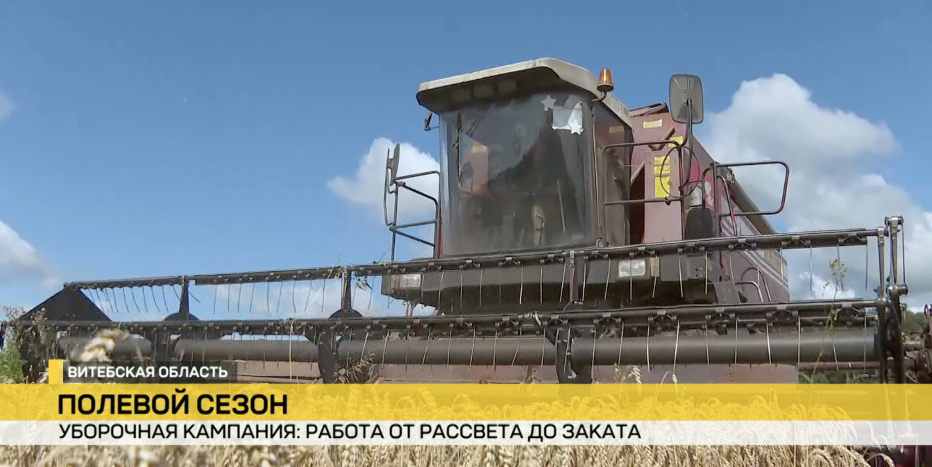 Аграрии Толочинского консервного завода – среди передовиков уборочной. Репортаж с полей
