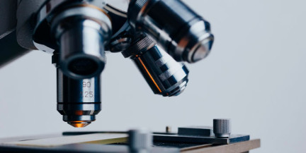 Ученые установили, что рак легких может «вербовать» иммунные клетки в костном мозге