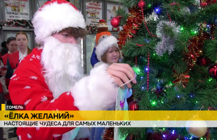 В Беларуси стартовала акция «Ёлка желаний»