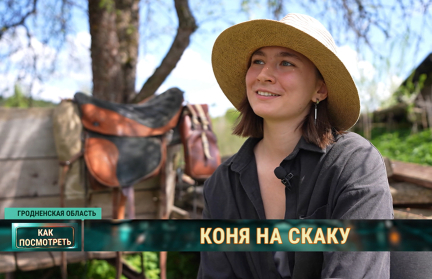 Субсидия на мечту: хрупкая девушка создает амуницию для лошадей ручной работы