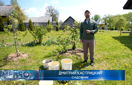 Что такое бродиловка и как ее правильно готовить, рассказал садовник Кастрицкий