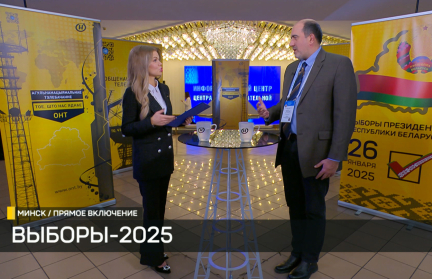«Выборный процесс в Беларуси легитимный». Наблюдатель из Сербии – о выборах Президента Беларуси