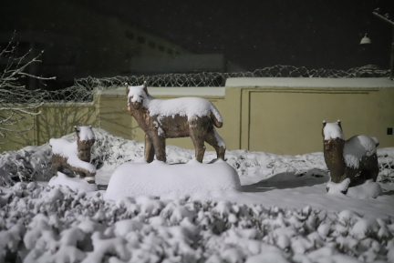 Снежный шторм обрушился на Беларусь: больше всего досталось Минской и Могилевской областям