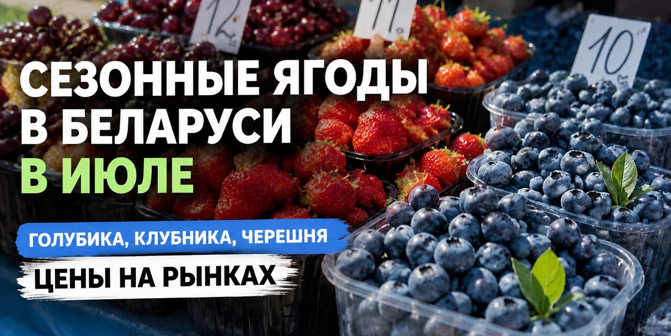 Сезонные ягоды в Беларуси в июле (голубика, черника, клубника, черешня): цены на рынках