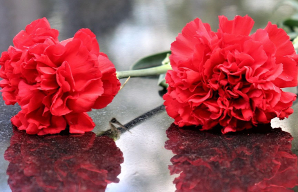 Умер дрессировщик Виктор Кудрявцев