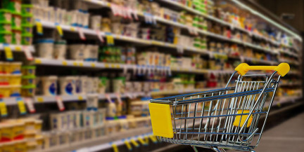 Популярный кисломолочный продукт запретили продавать в Беларуси