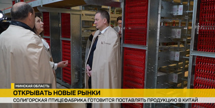 Солигорская птицефабрика расширяет экспорт в Китай и внедряет инновации в производство перепелиных яиц