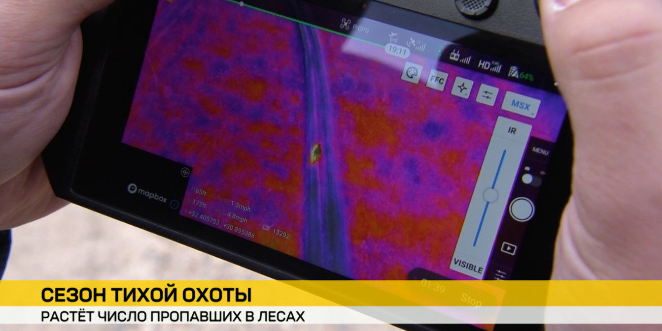 В белорусских лесах с начала года заблудились около 70 человек, среди них – 9 детей