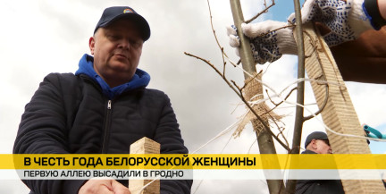 В Гродно высадили первую аллею в честь Года белорусской женщины
