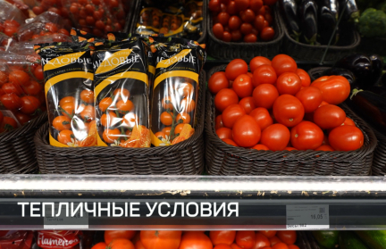 Стали ли цены на овощи в межсезонье ниже – сюжет ОНТ