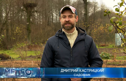 Как подготовить сад к зиме, рассказал садовник Кастрицкий
