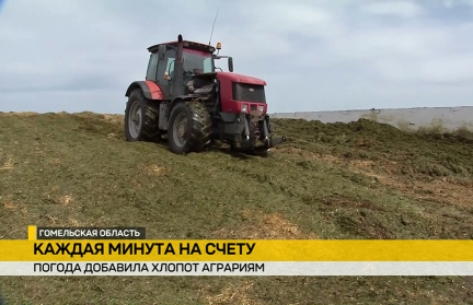 Как ночные заморозки и проливные дожди сказались на посевах – в сюжете ОНТ