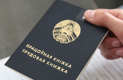 Какие выплаты и льготы положены молодым специалистам в Беларуси: узнали в Минтруда