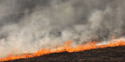 Соседи жгут траву весной – законно ли это?