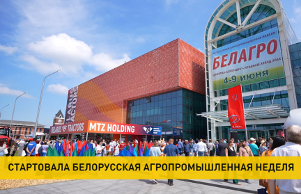 Выставка «Белагро-2024» проходит в «Великом камне»: какой продукцией на этот раз удивляют участники?