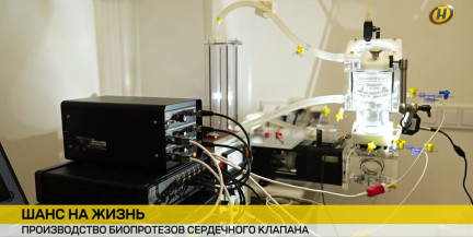 Компания «Фармлэнд» в Беларуси освоила производство биопротезов сердечного клапана