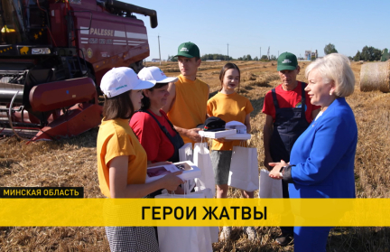 В Беларуси осталось убрать 10% посевных площадей