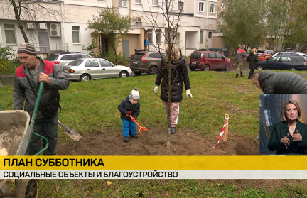 На Гродненщине в республиканском субботнике планируют принять участие не менее 260 тыс. жителей
