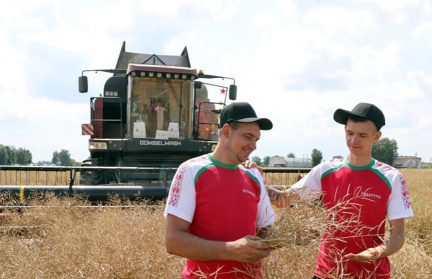 Работники АПК отмечают профессиональный праздник. В чем цена достижений отрасли?