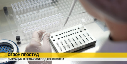 Сезон простуд в разгаре. В Беларуси ситуация под контролем, но эпидемиологи настаивают на профилактике