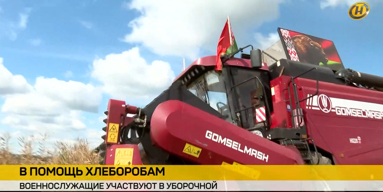 белорусский комбайн во время уборочной-2026