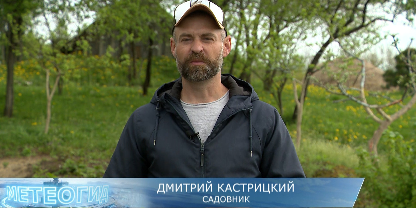 Дмитрий Кастрицкий и огурцы