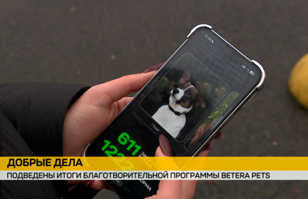 Каждый гол – помощь животным: Betera подвела итоги футбольного сезона