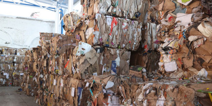 В Белкоопсоюзе рассказали, как организована заготовка вторичных материальных ресурсов