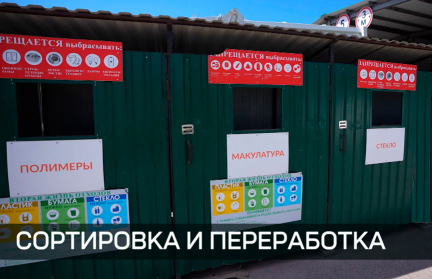 85 объектов сортировки: Беларусь масштабирует переработку отходов