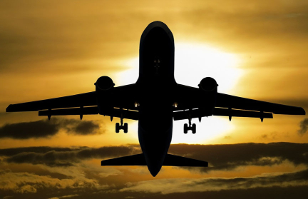 Самолет с горящим двигателем посадили в Домодедово: что известно