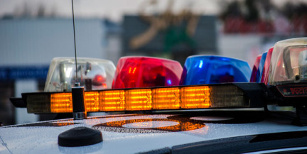 В Калифорнии подросток подозревается в изнасиловании и убийстве брата