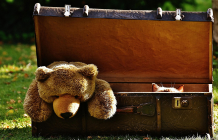 Женщина перевозила ребенка в чемодане