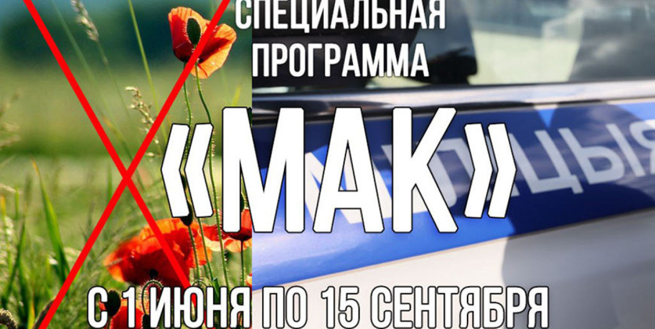 15,2 тонны мака и 7,5 тонны конопли: в Брестской области уничтожили наркосодержащие растения