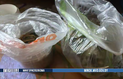 Милиция задержала минского Хайзенберга: столичный преподаватель английского хранил в квартире килограмм марихуаны