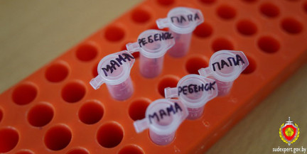 Мужчина в Пружанском районе перестал платить алименты из‑за сомнений в отцовстве