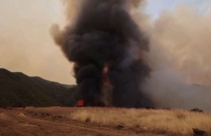 Крупнейший с начала года лесной пожар в Калифорнии тушат более 1 тыс. спасателей